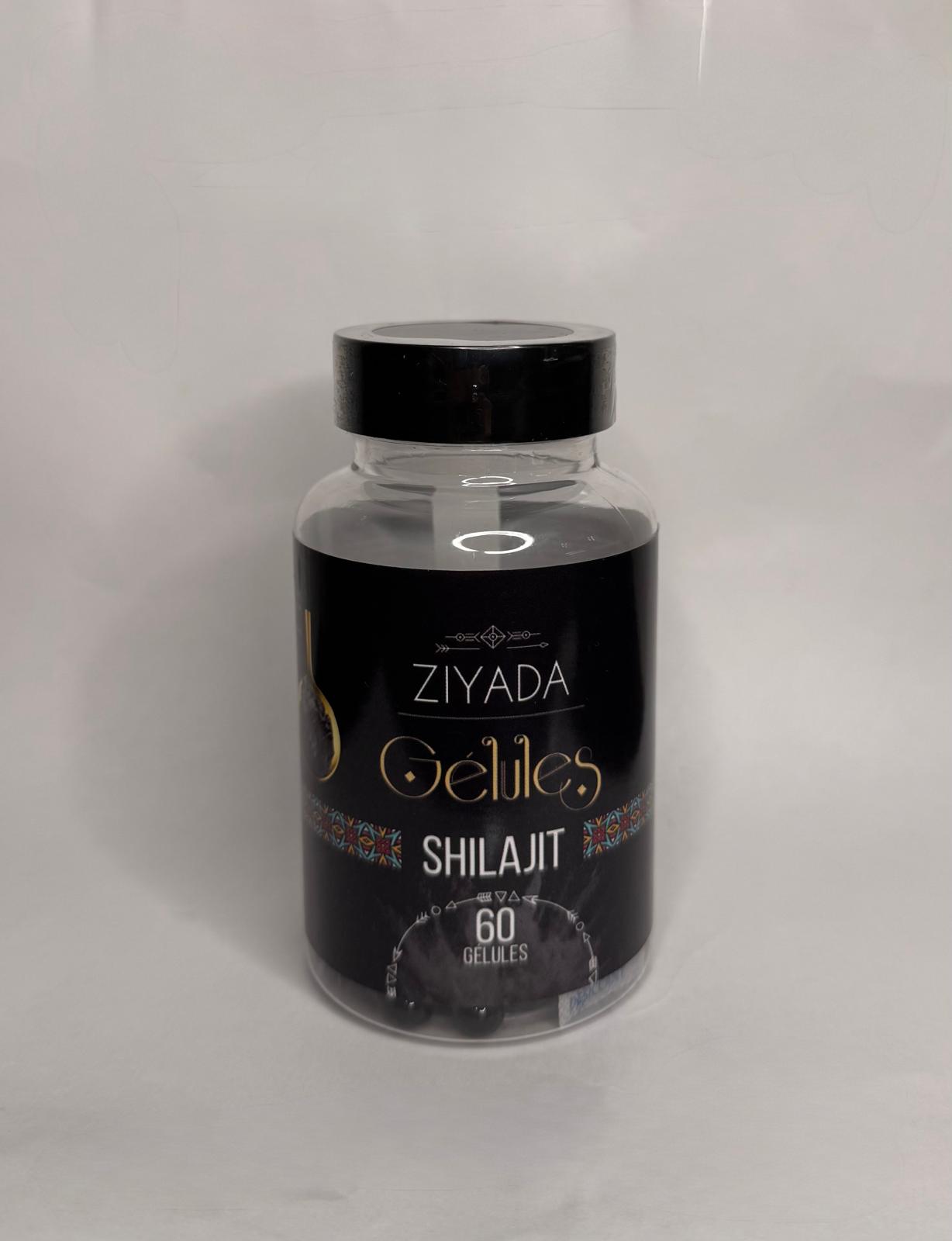Gélules Shilajit